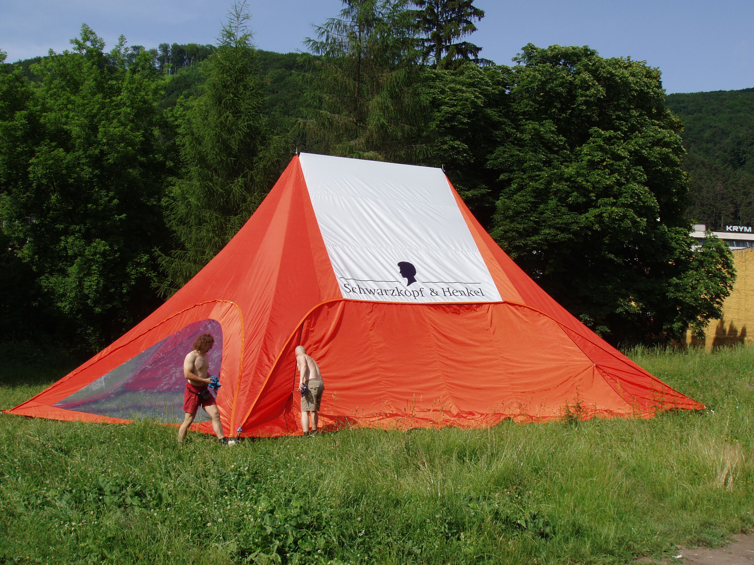 Carpa Estrella Doble Schwarzkopf